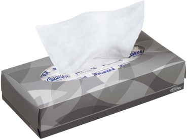 Kleenex cosmetica zakje wit 22x19cm 2100st.
